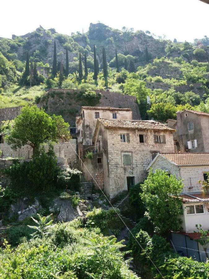 Hotel Nova Dvokrevetna Soba Sa Dva Odvojena Kreveta I Zajednickim Kupatilom à Kotor Extérieur photo